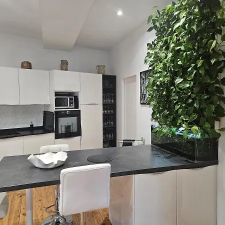 Appartamento Magnifique Duplex 200 M2 En Coeur De De De Bearn, Au Confort Premium